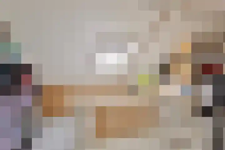 Vaandrig 8 Boxtel thumbnail 22