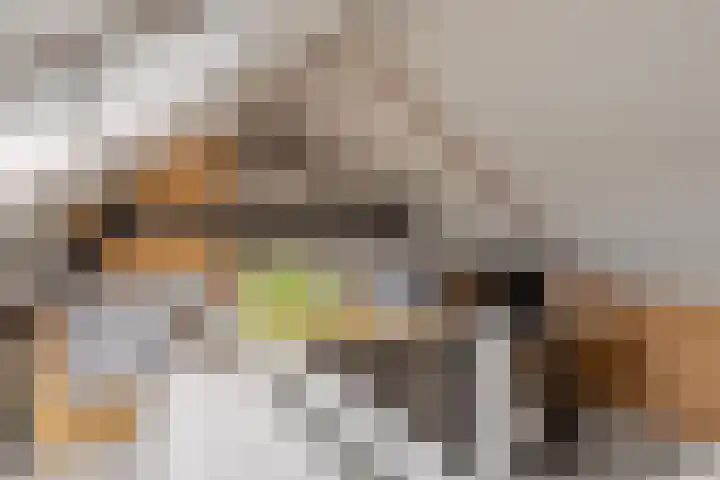 Vaandrig 8 Boxtel thumbnail 23