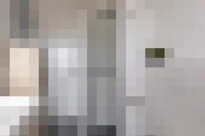 Vaandrig 8 Boxtel thumbnail 26