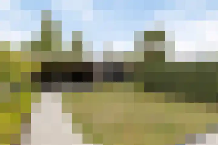 Vaandrig 8 Boxtel thumbnail 30