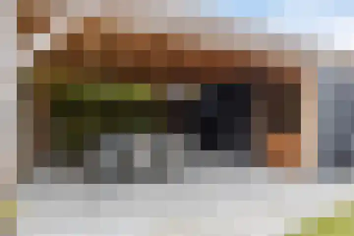 Vaandrig 8 Boxtel thumbnail 31