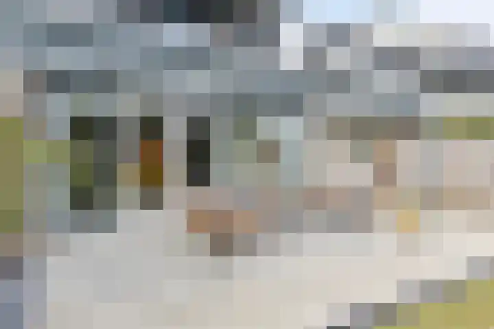 Vaandrig 8 Boxtel thumbnail 32