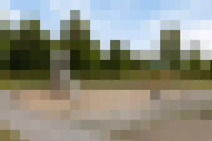 Vaandrig 8 Boxtel thumbnail 34