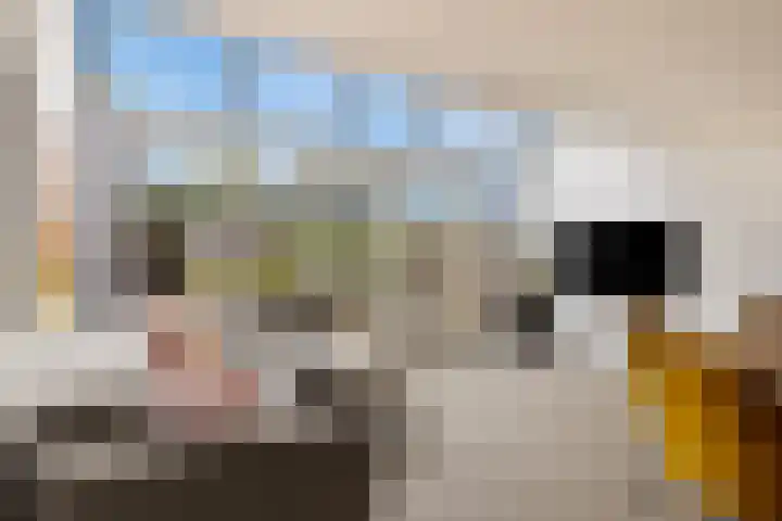 Vaandrig 8 Boxtel thumbnail 6