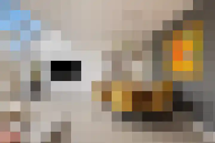 Vaandrig 8 Boxtel thumbnail 9