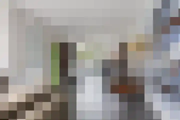 Vaandriglaan 22 Zeeland thumbnail 10