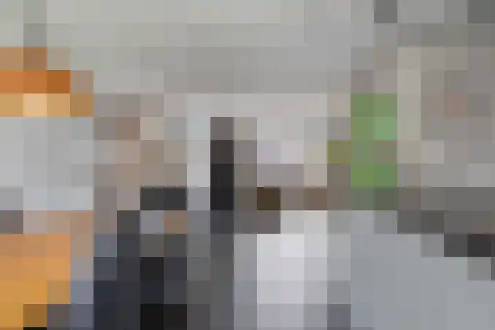 Vaandriglaan 22 Zeeland thumbnail 13