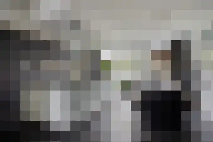 Vaandriglaan 22 Zeeland thumbnail 14