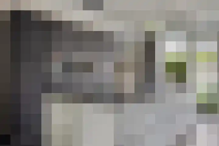Vaandriglaan 22 Zeeland thumbnail 15