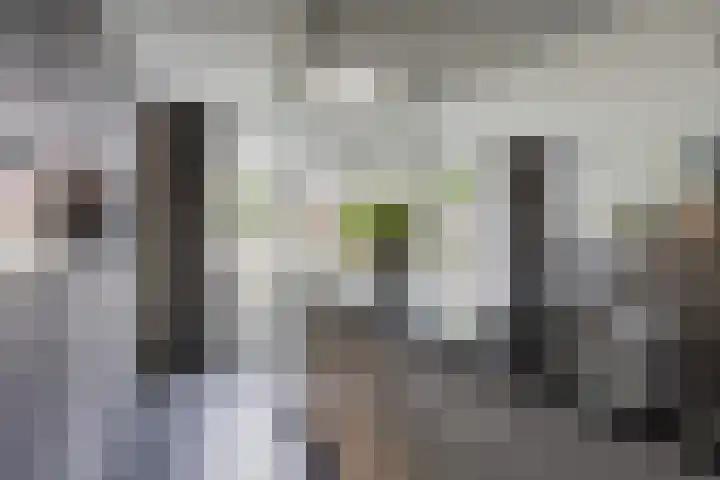 Vaandriglaan 22 Zeeland thumbnail 17