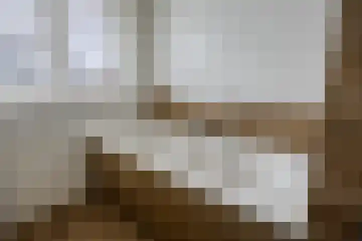 Vaandriglaan 22 Zeeland thumbnail 28