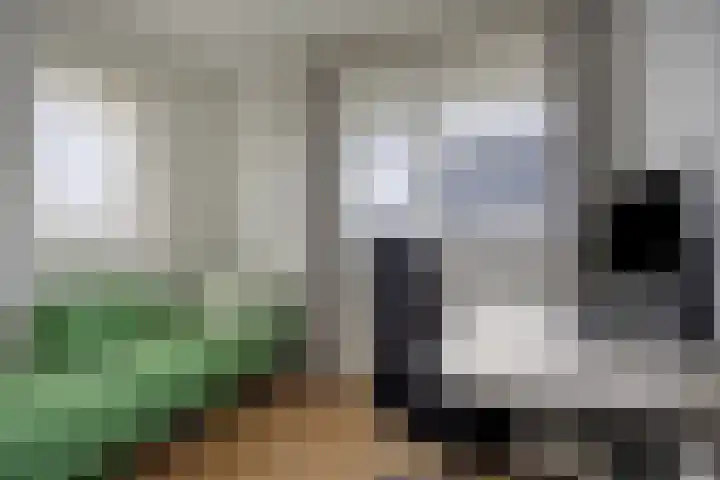 Vaandriglaan 22 Zeeland thumbnail 32