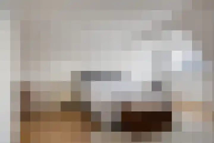 Vaandriglaan 22 Zeeland thumbnail 34