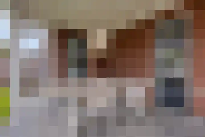 Vaandriglaan 22 Zeeland thumbnail 45