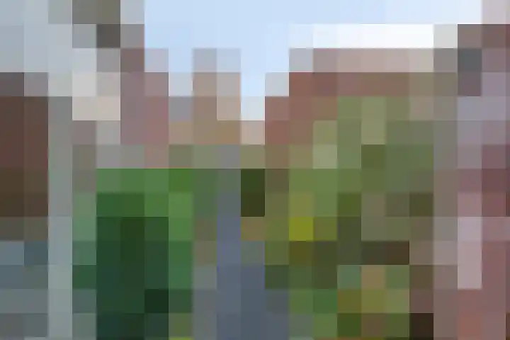 Vaandriglaan 22 Zeeland thumbnail 47