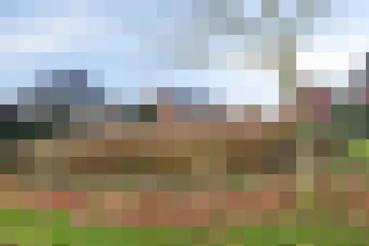 Vaandriglaan 22 Zeeland thumbnail 49