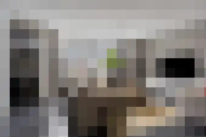 Vaandriglaan 22 Zeeland thumbnail 8