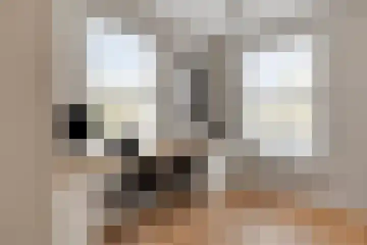 Vaandriglaan 3 Zeeland thumbnail 12