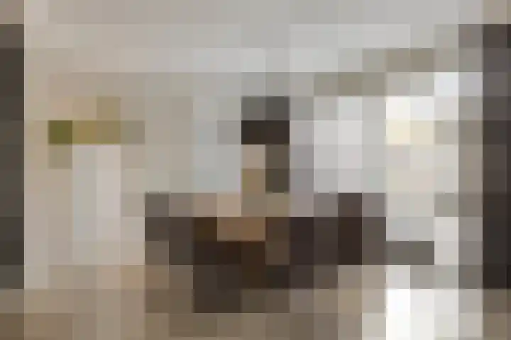 Vaandriglaan 3 Zeeland thumbnail 14
