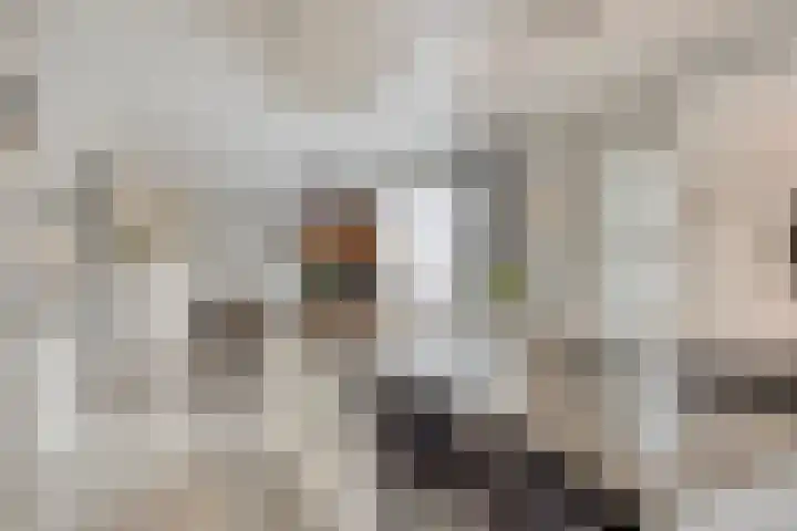 Vaandriglaan 3 Zeeland thumbnail 16
