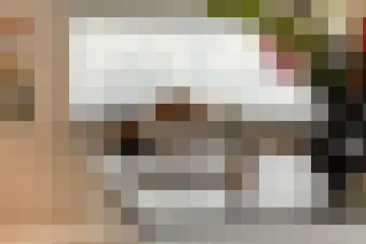 Vaandriglaan 3 Zeeland thumbnail 18