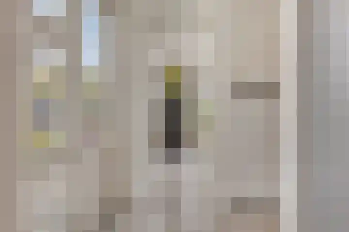 Vaandriglaan 3 Zeeland thumbnail 19