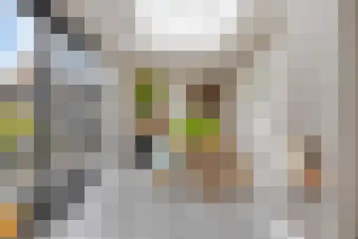 Vaandriglaan 3 Zeeland thumbnail 21