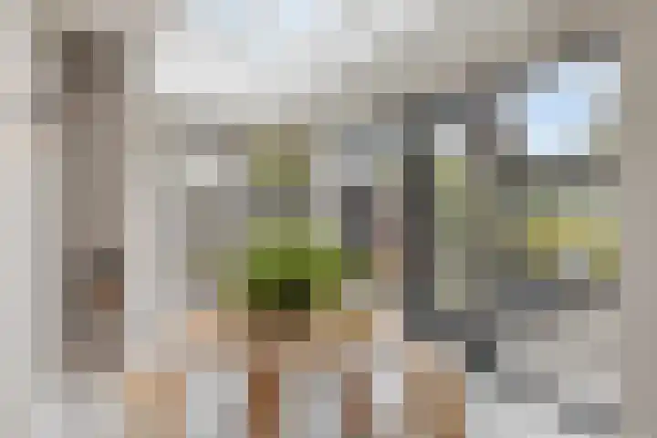 Vaandriglaan 3 Zeeland thumbnail 22