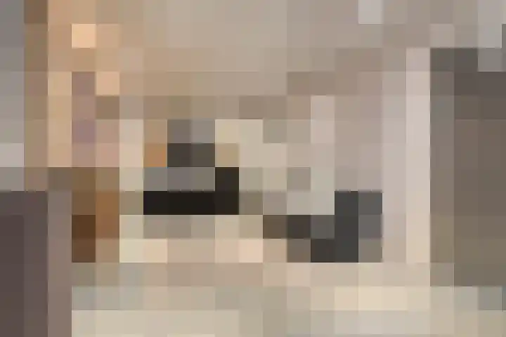 Vaandriglaan 3 Zeeland thumbnail 25