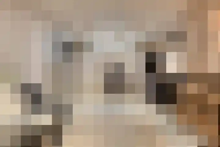 Vaandriglaan 3 Zeeland thumbnail 26