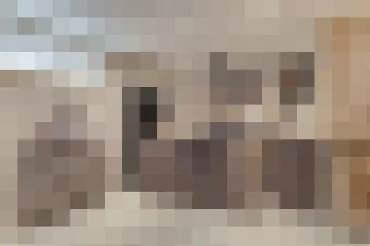 Vaandriglaan 3 Zeeland thumbnail 27