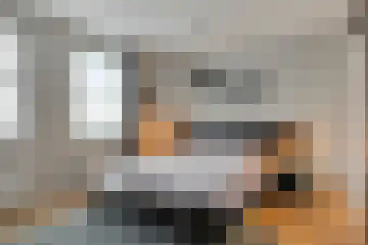 Vaandriglaan 3 Zeeland thumbnail 30