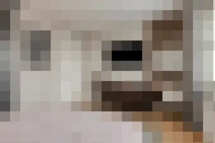 Vaandriglaan 3 Zeeland thumbnail 31