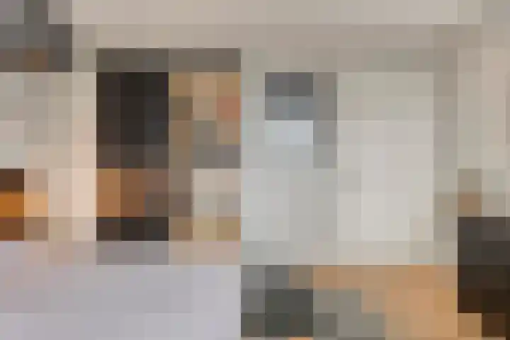 Vaandriglaan 3 Zeeland thumbnail 32