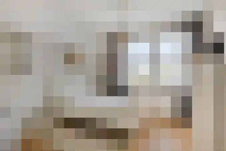Vaandriglaan 3 Zeeland thumbnail 36
