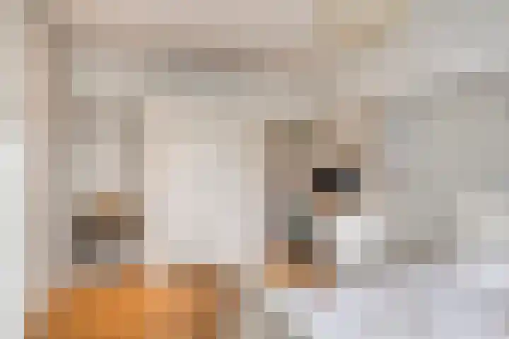 Vaandriglaan 3 Zeeland thumbnail 37