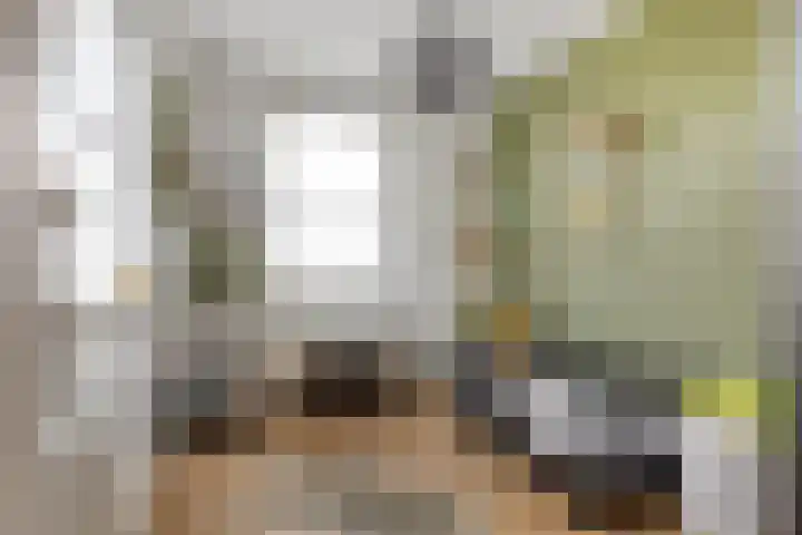 Vaandriglaan 3 Zeeland thumbnail 38