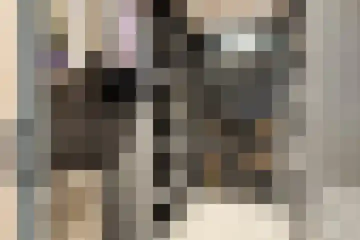 Vaandriglaan 3 Zeeland thumbnail 41