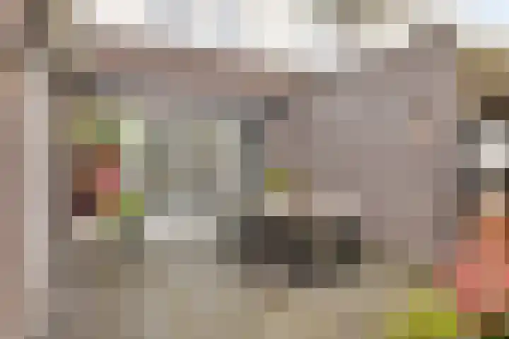 Vaandriglaan 3 Zeeland thumbnail 43