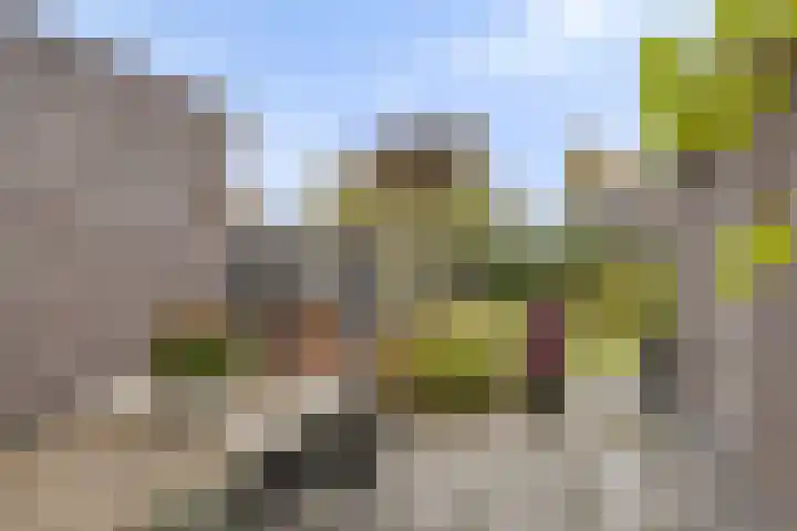 Vaandriglaan 3 Zeeland thumbnail 44