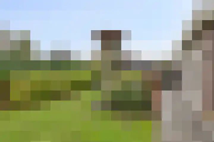 Vaandriglaan 3 Zeeland thumbnail 45
