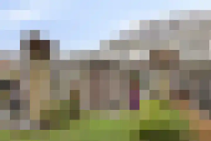 Vaandriglaan 3 Zeeland thumbnail 46