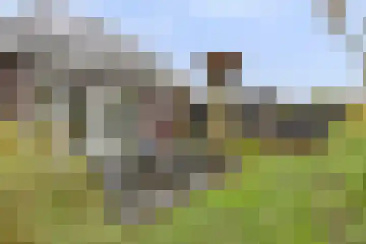 Vaandriglaan 3 Zeeland thumbnail 47
