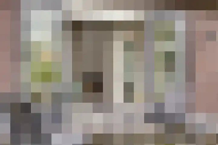 Vaandriglaan 3 Zeeland thumbnail 49