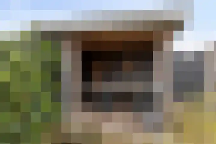 Vaandriglaan 3 Zeeland thumbnail 51