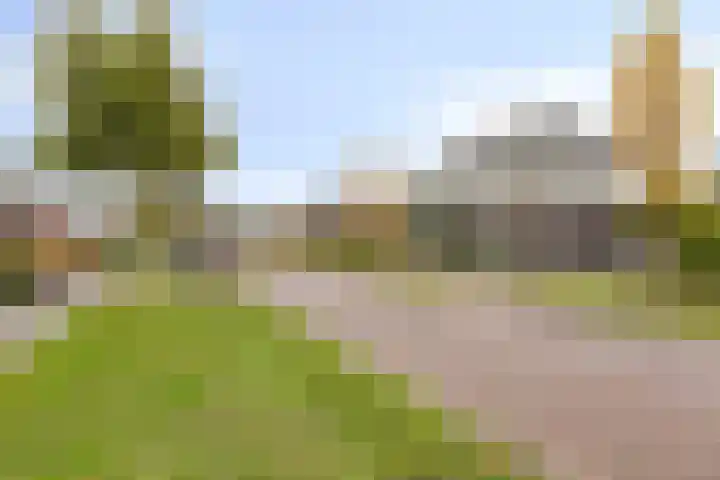 Vaandriglaan 3 Zeeland thumbnail 54