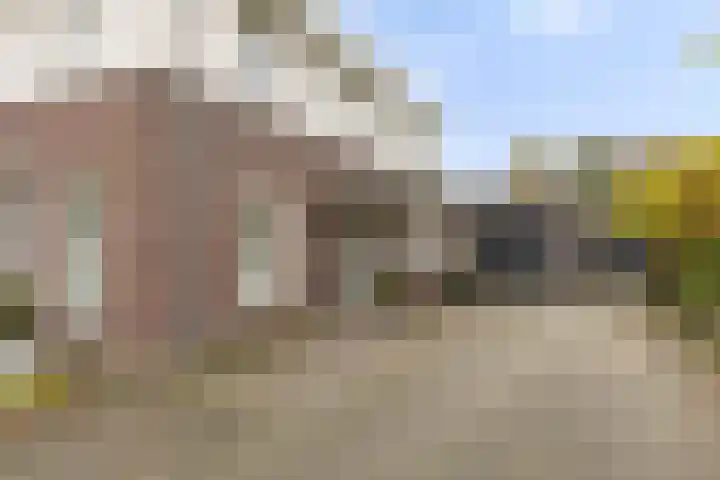 Vaandriglaan 3 Zeeland thumbnail 6