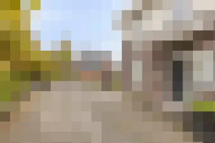 Vaandriglaan 3 Zeeland thumbnail 7