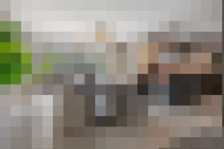 Vaandrigstraat 13 Etten-Leur thumbnail 13