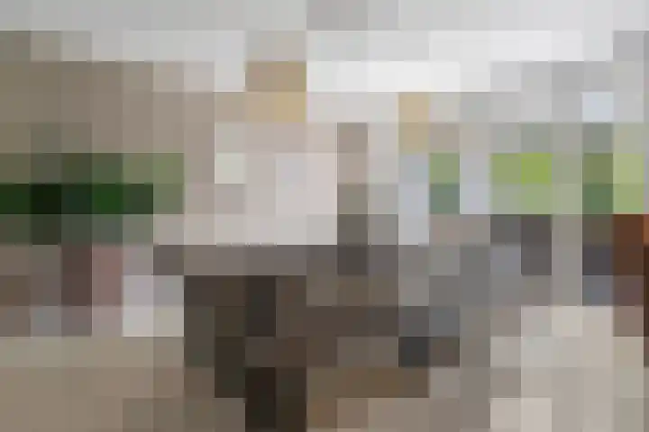 Vaandrigstraat 13 Etten-Leur thumbnail 17